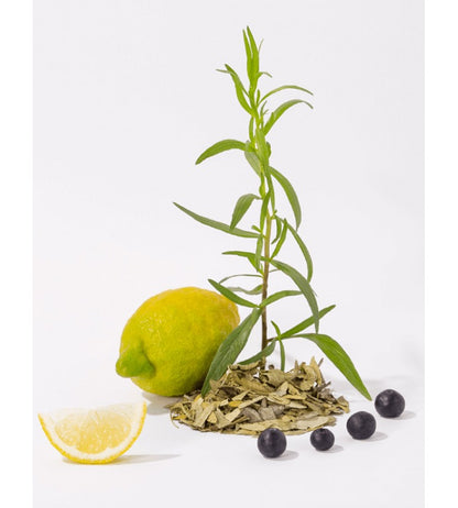 CDP skystas muilas B&W „White Tea“ 495 ml