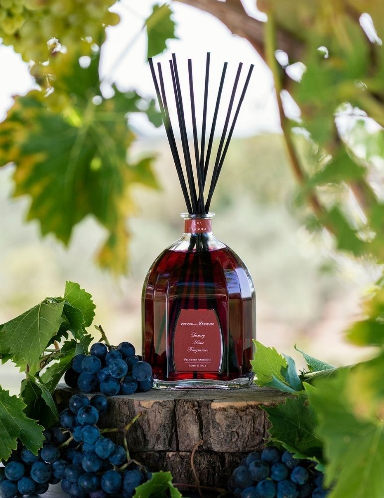 OFFICINA DELLE ESSENZE rinkinys „Uva Fragola“ ( namų kvapas su lazd. 250 ml. + puršk. 100 ml.)